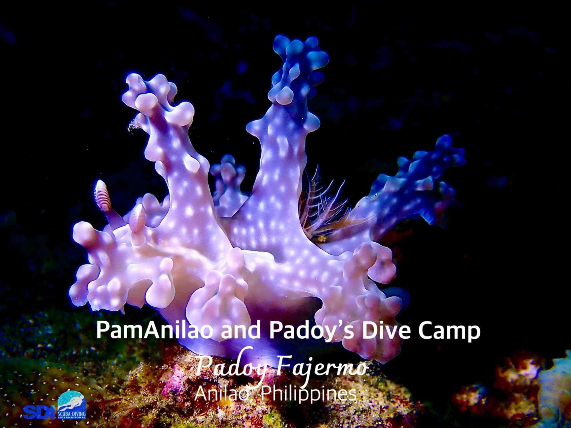 מלון Batangas Pamanilao And Padoy'S Dive Camp מראה חיצוני תמונה