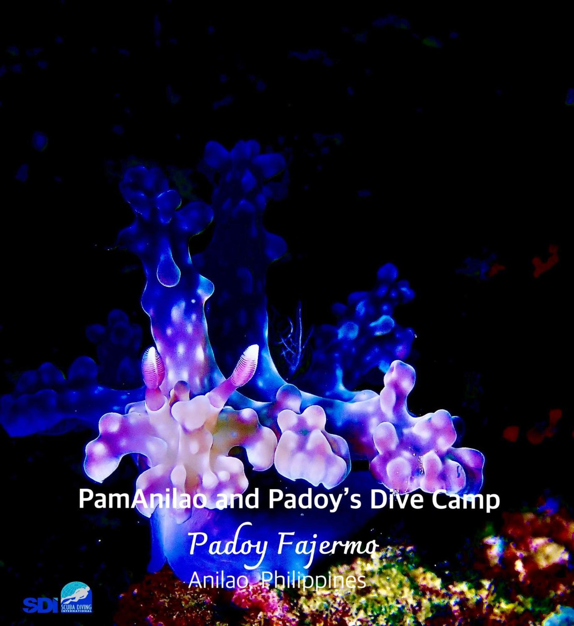 מלון Batangas Pamanilao And Padoy'S Dive Camp מראה חיצוני תמונה
