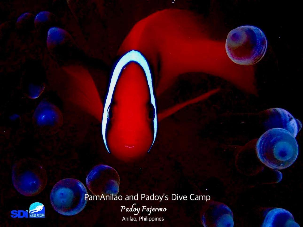 מלון Batangas Pamanilao And Padoy'S Dive Camp מראה חיצוני תמונה